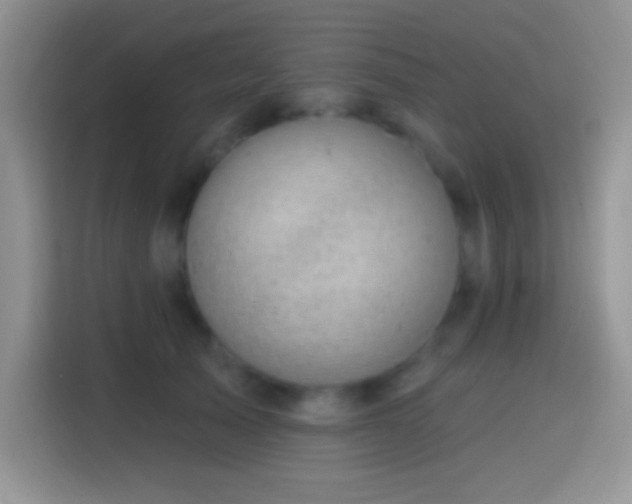 X0000113860705200910011021