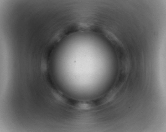 X0000113860706200910011021