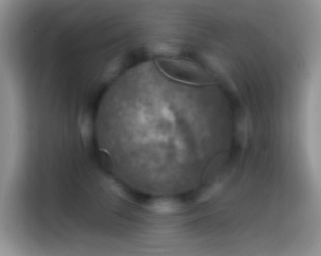 X0000113860708200910011021