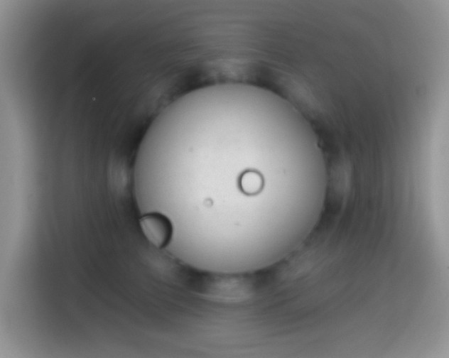 X0000113860709200910011021