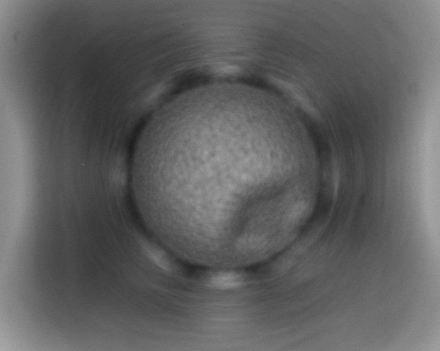 X0000113860710200910011021