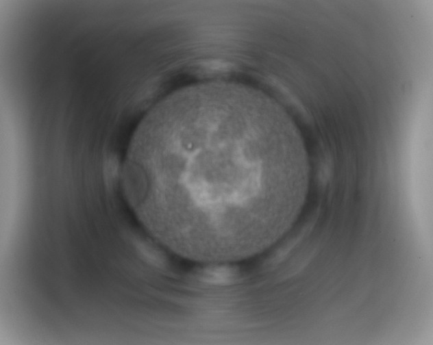 X0000113860711200910011021