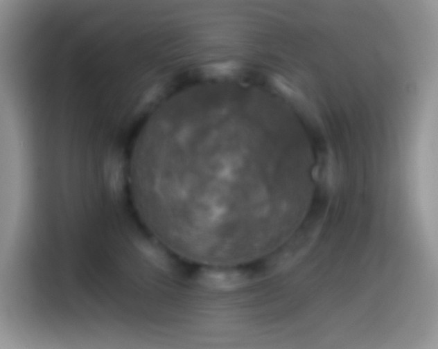 X0000113860712200910011021