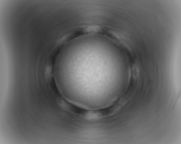 X0000113860714200910011021