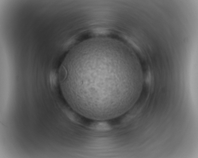 X0000113860715200910011021