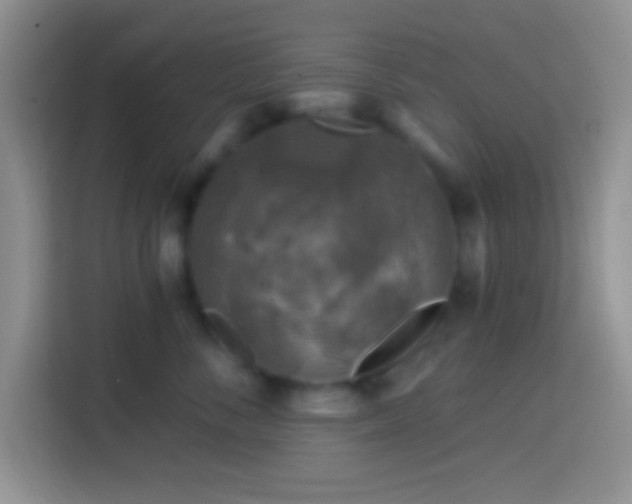 X0000113860716200910011021