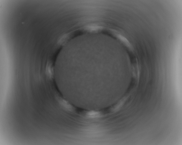 X0000113860718200910011021