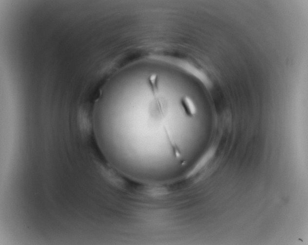 X0000113860719200910011021