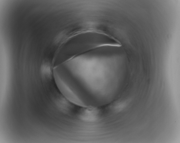 X0000113860720200910011021