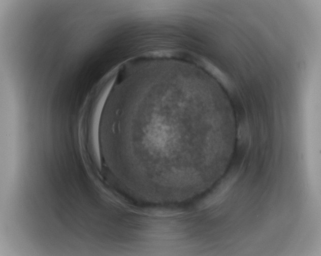 X0000113860722200910011021