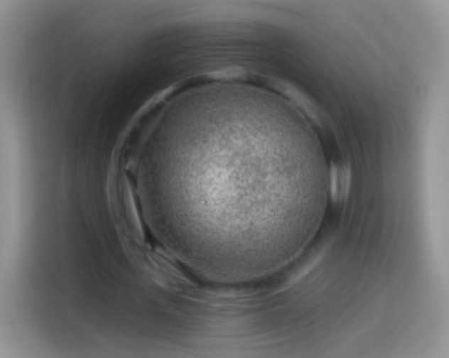 X0000113860723200910011021