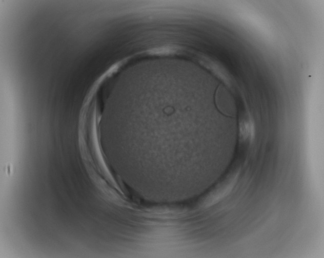 X0000113860724200910011021