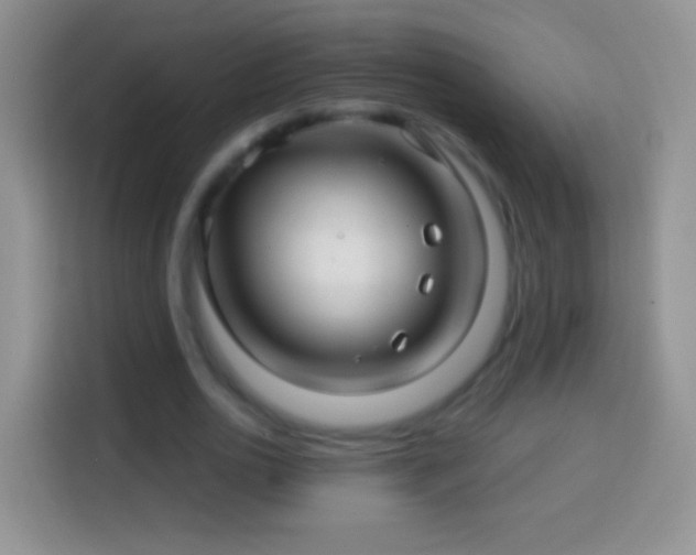 X0000113860726200910011021