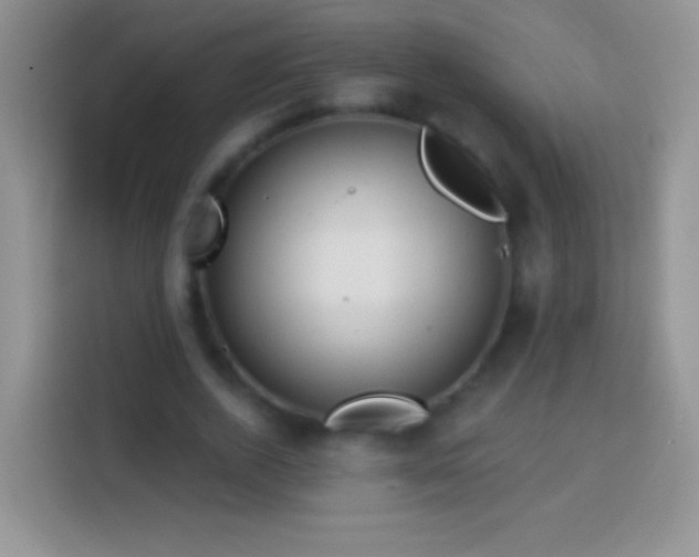 X0000113860728200910011021