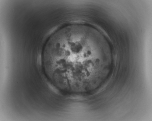 X0000113860729200910011021