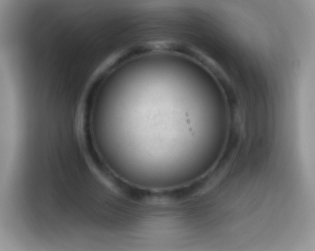 X0000113860730200910011021