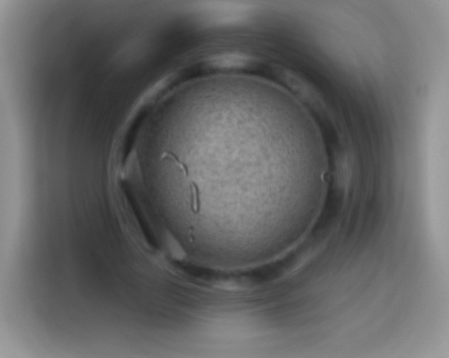 X0000113860731200910011021