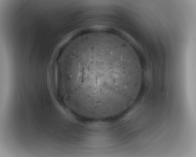X0000113860734200910011021