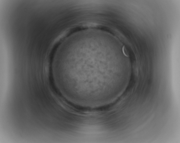 X0000113860735200910011021