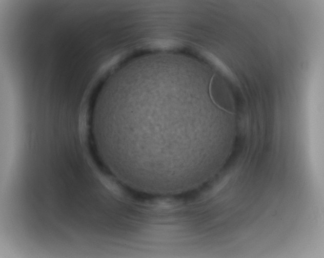 X0000113860736200910011021