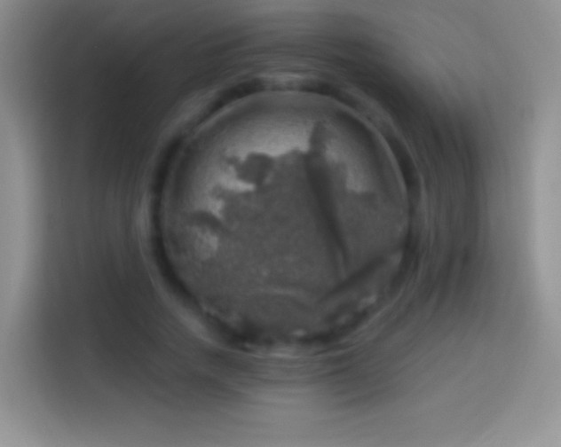 X0000113860738200910011021