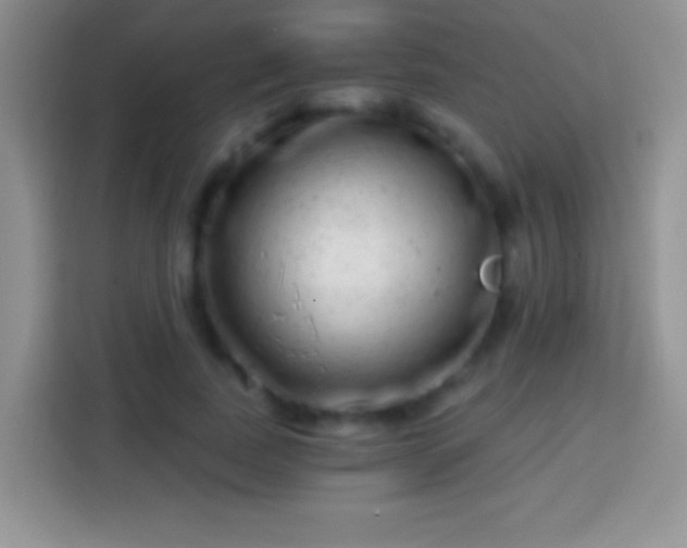 X0000113860739200910011021