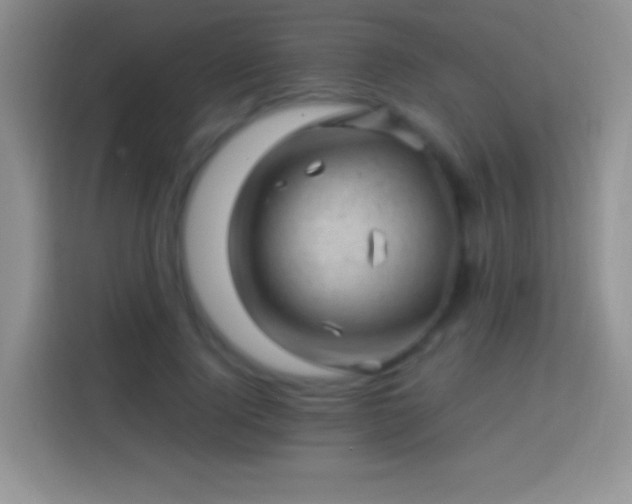 X0000113860740200910011021