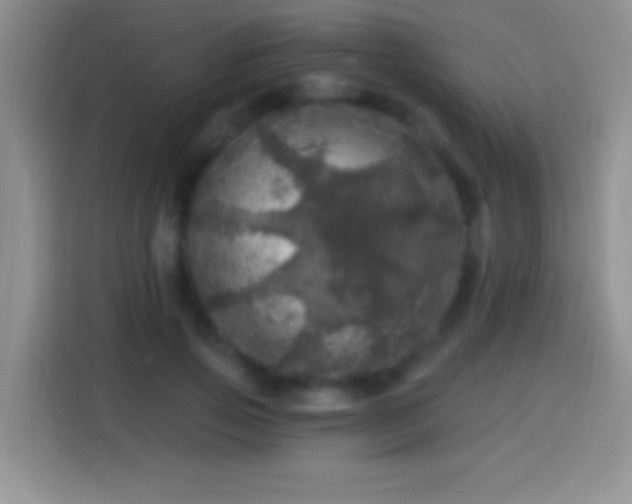X0000113860741200910011021