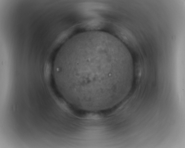 X0000113860742200910011021