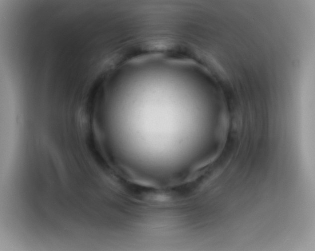 X0000113860743200910011021