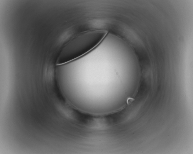 X0000113860744200910011021