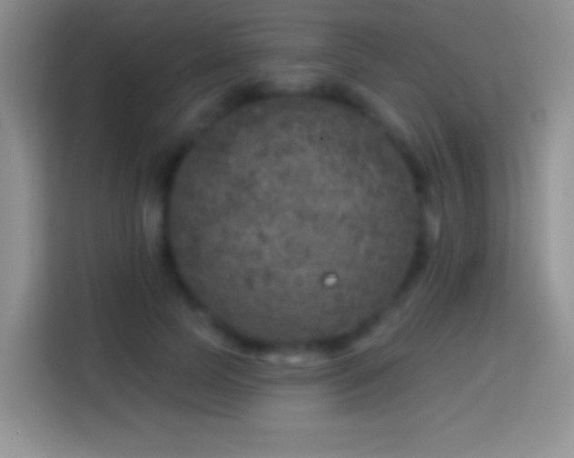 X0000113860745200910011021