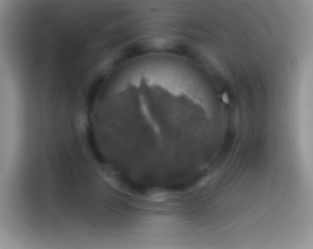 X0000113860746200910011021