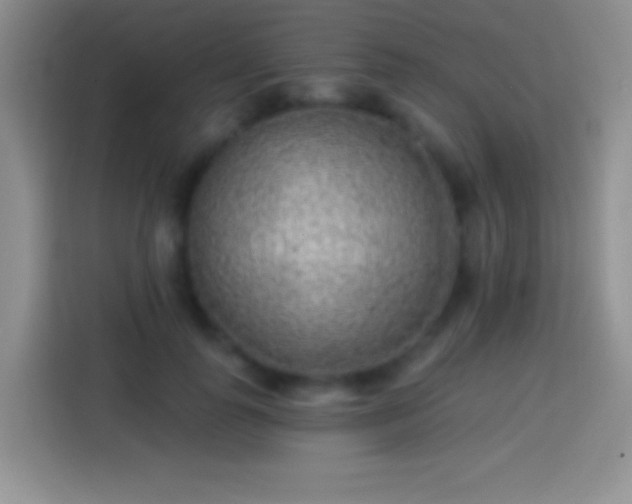 X0000113860747200910011021