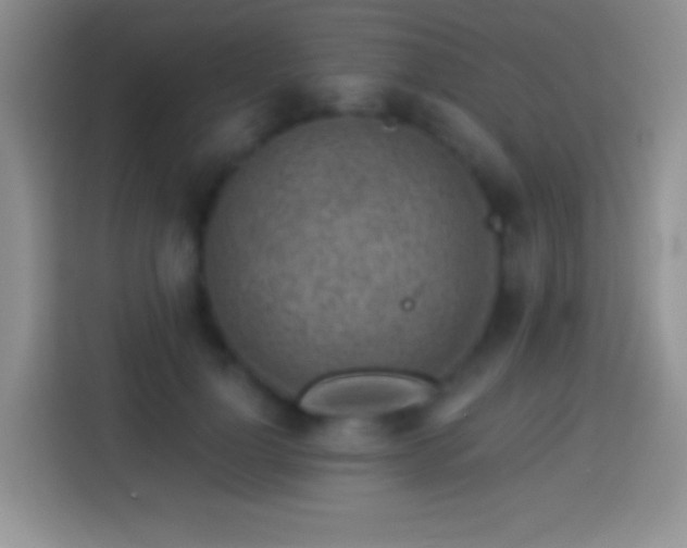 X0000113860748200910011021