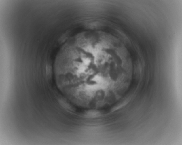 X0000113860749200910011021