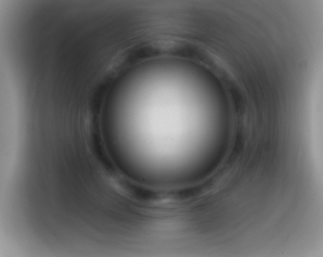 X0000113860750200910011021