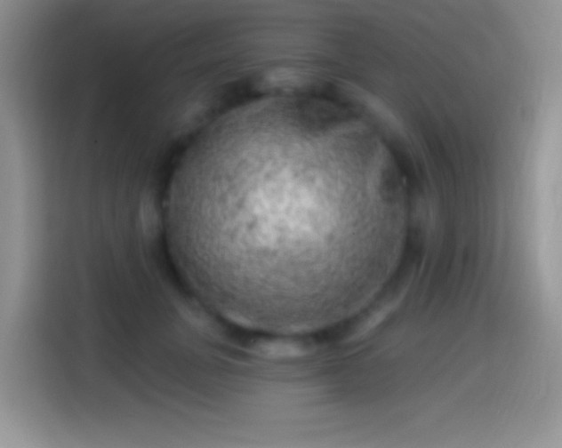 X0000113860751200910011021