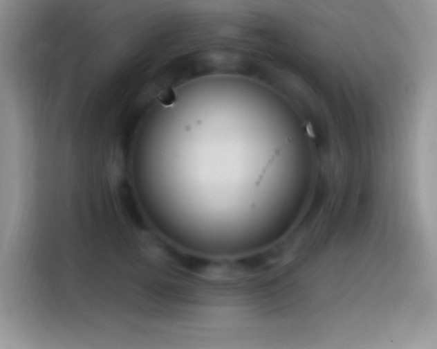 X0000113860752200910011021