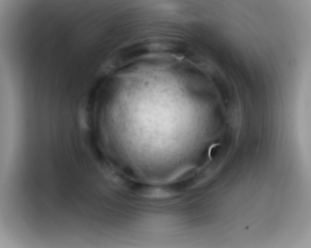 X0000113860755200910011021