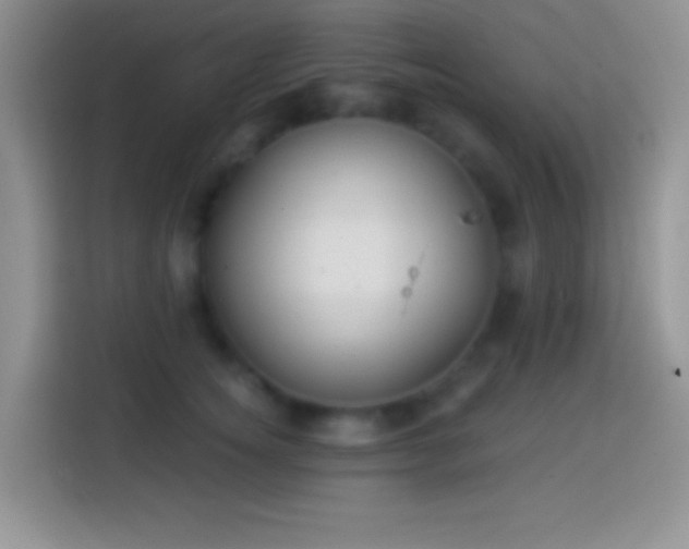 X0000113860756200910011021