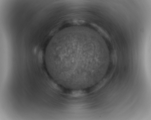 X0000113860757200910011021