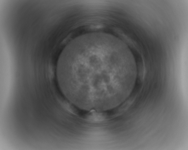 X0000113860758200910011021