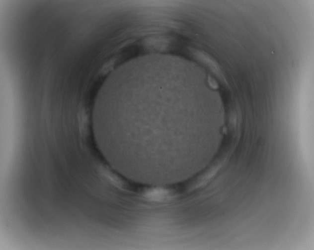 X0000113860759200910011021