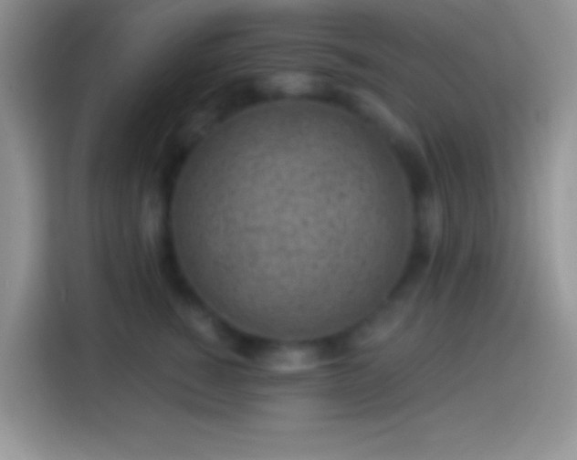 X0000113860760200910011021
