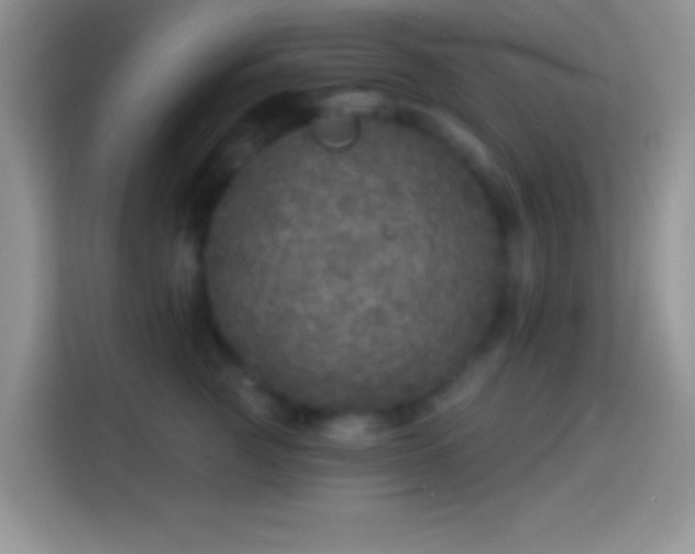 X0000113860761200910011021