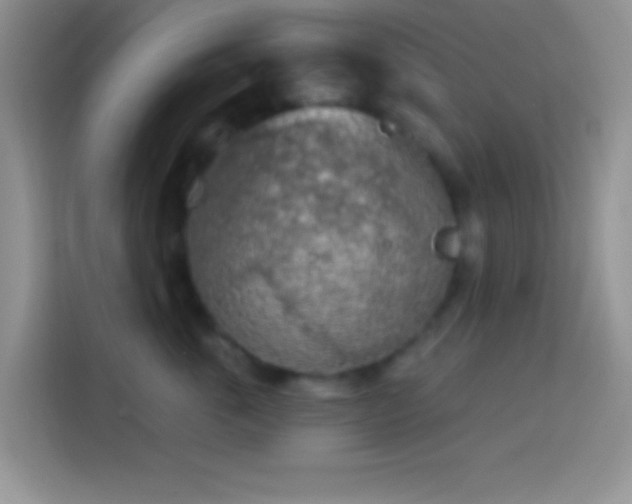 X0000113860763200910011021