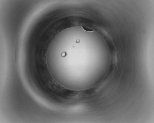 X0000113860764200910011021