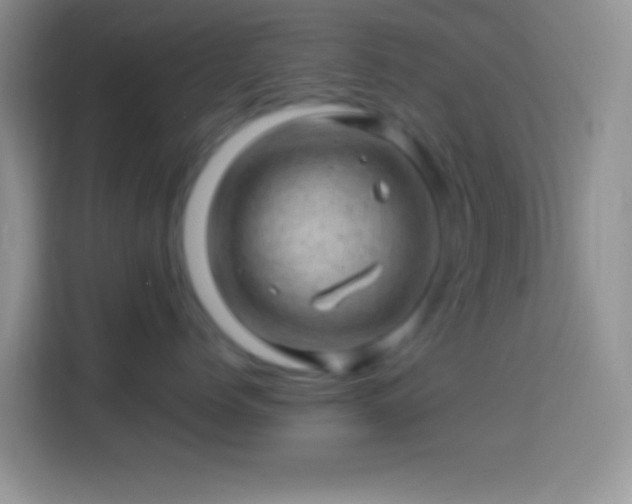 X0000113860768200910011021