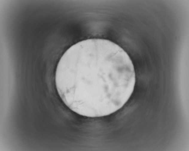 X0000113860769200910011020